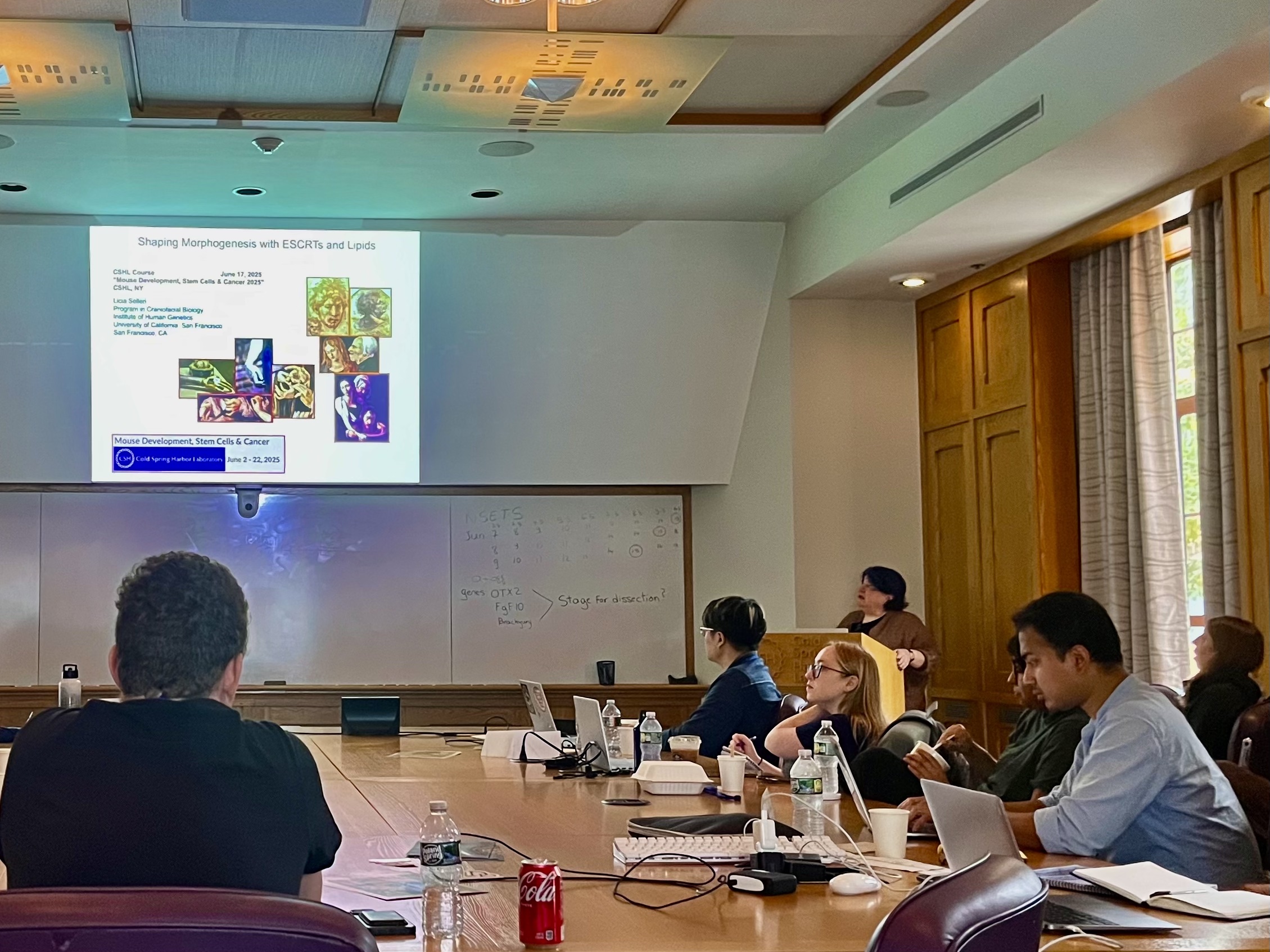Mouse Development, Stem Cells & Cancer Course