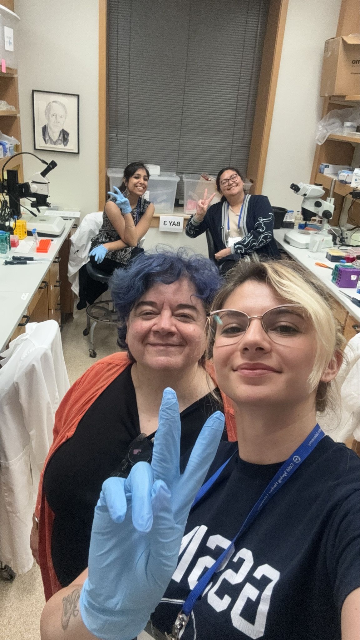 Mouse Development, Stem Cells & Cancer Course