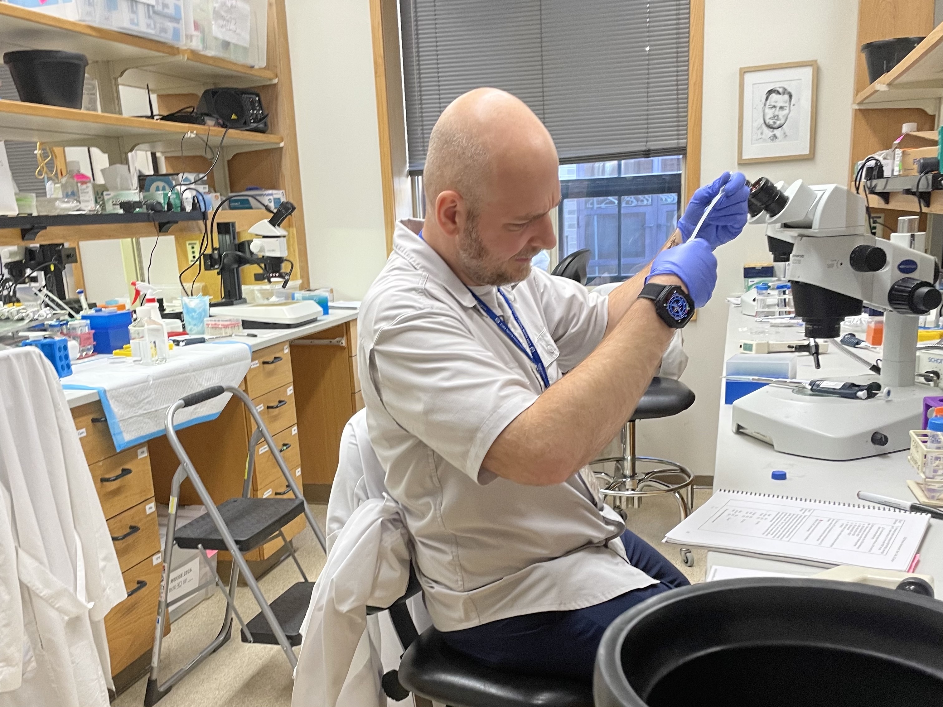 Mouse Development, Stem Cells & Cancer Course