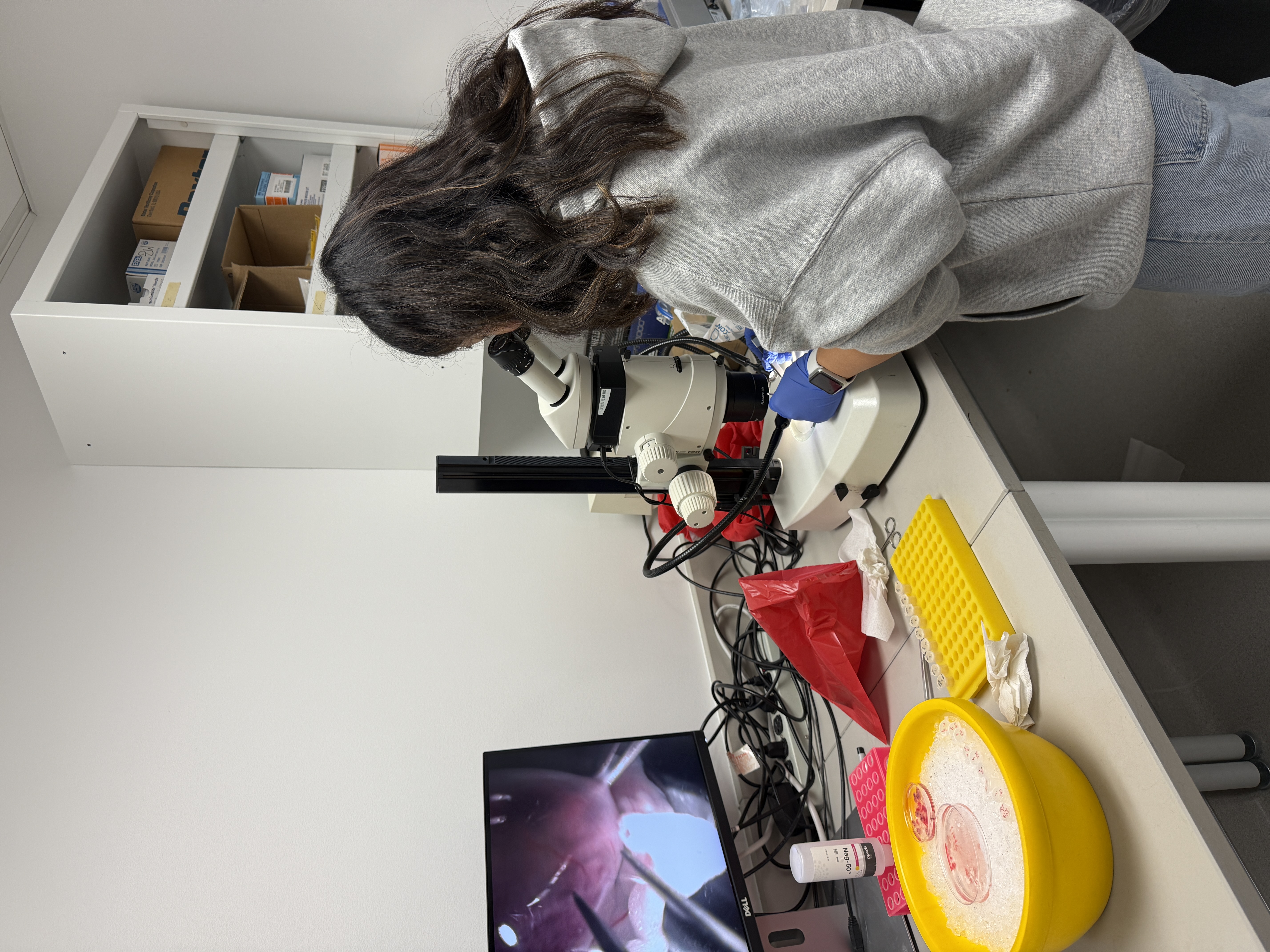 High School Young Scientists