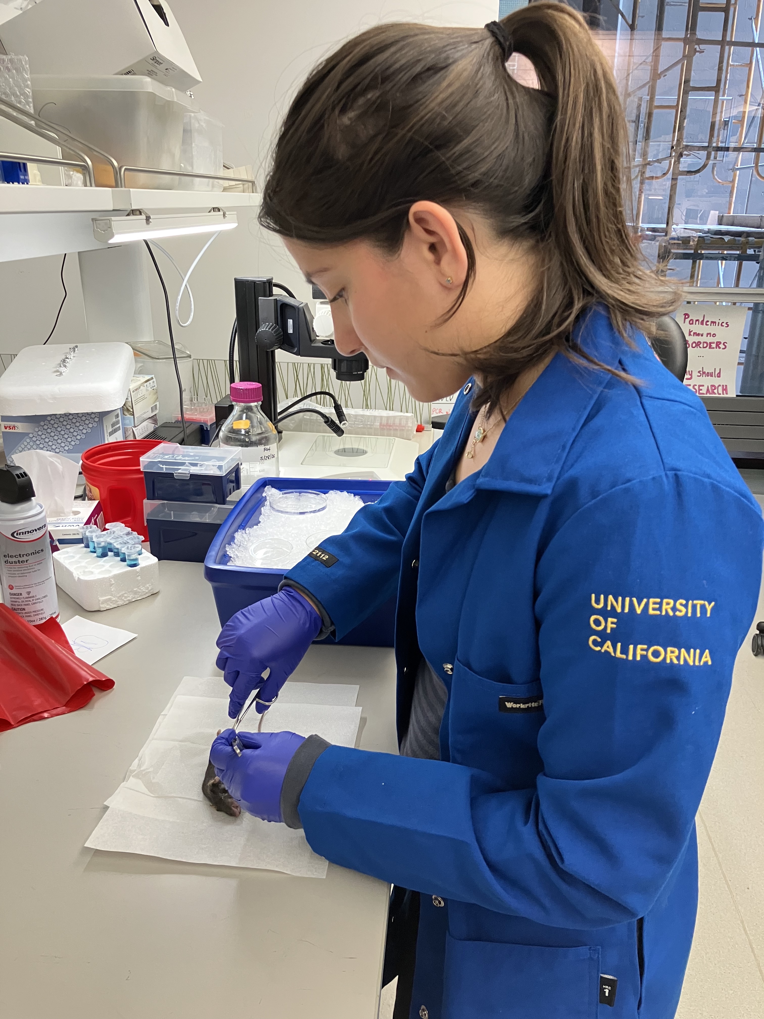 High School Young Scientists