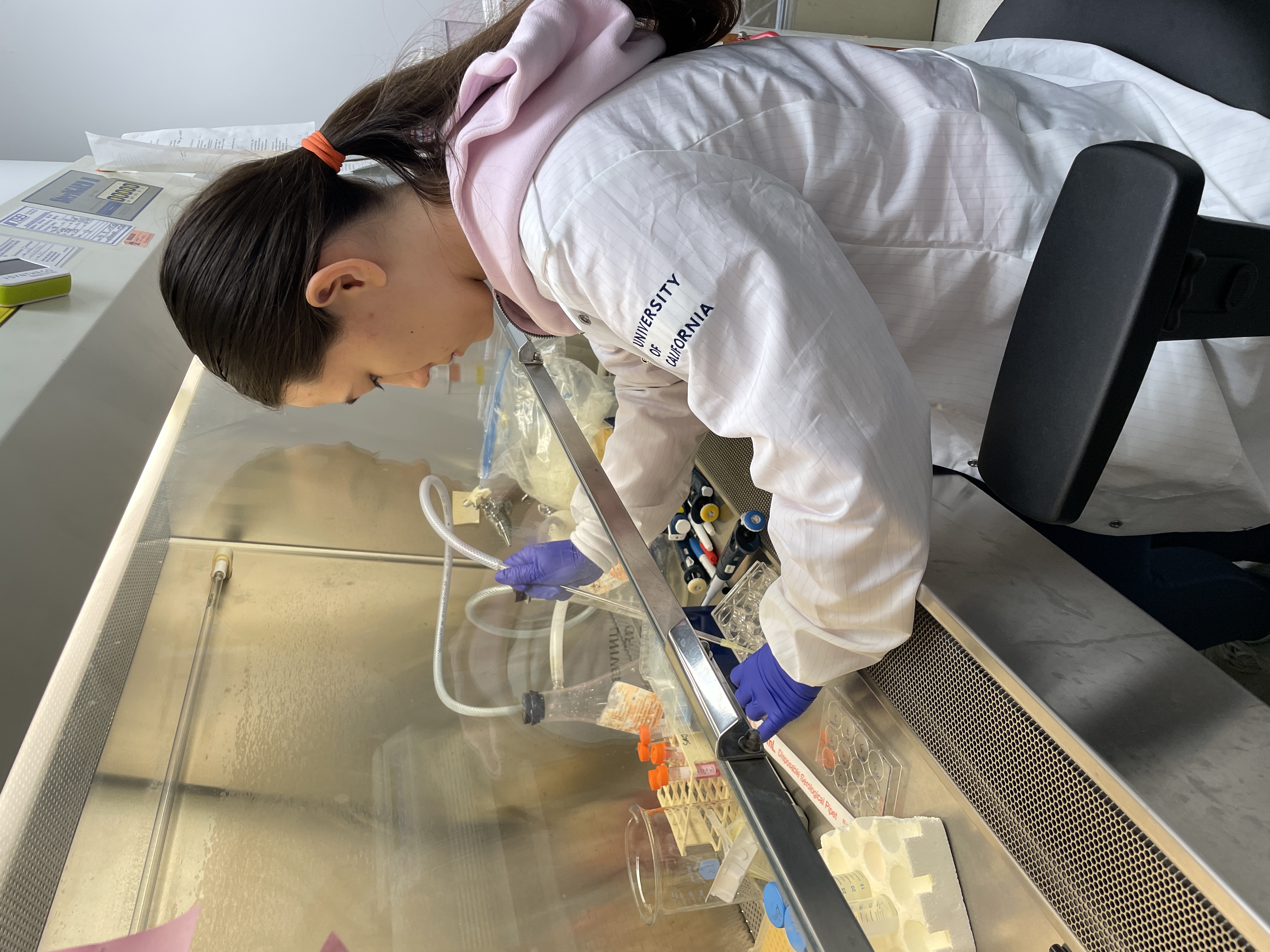 High School Young Scientists